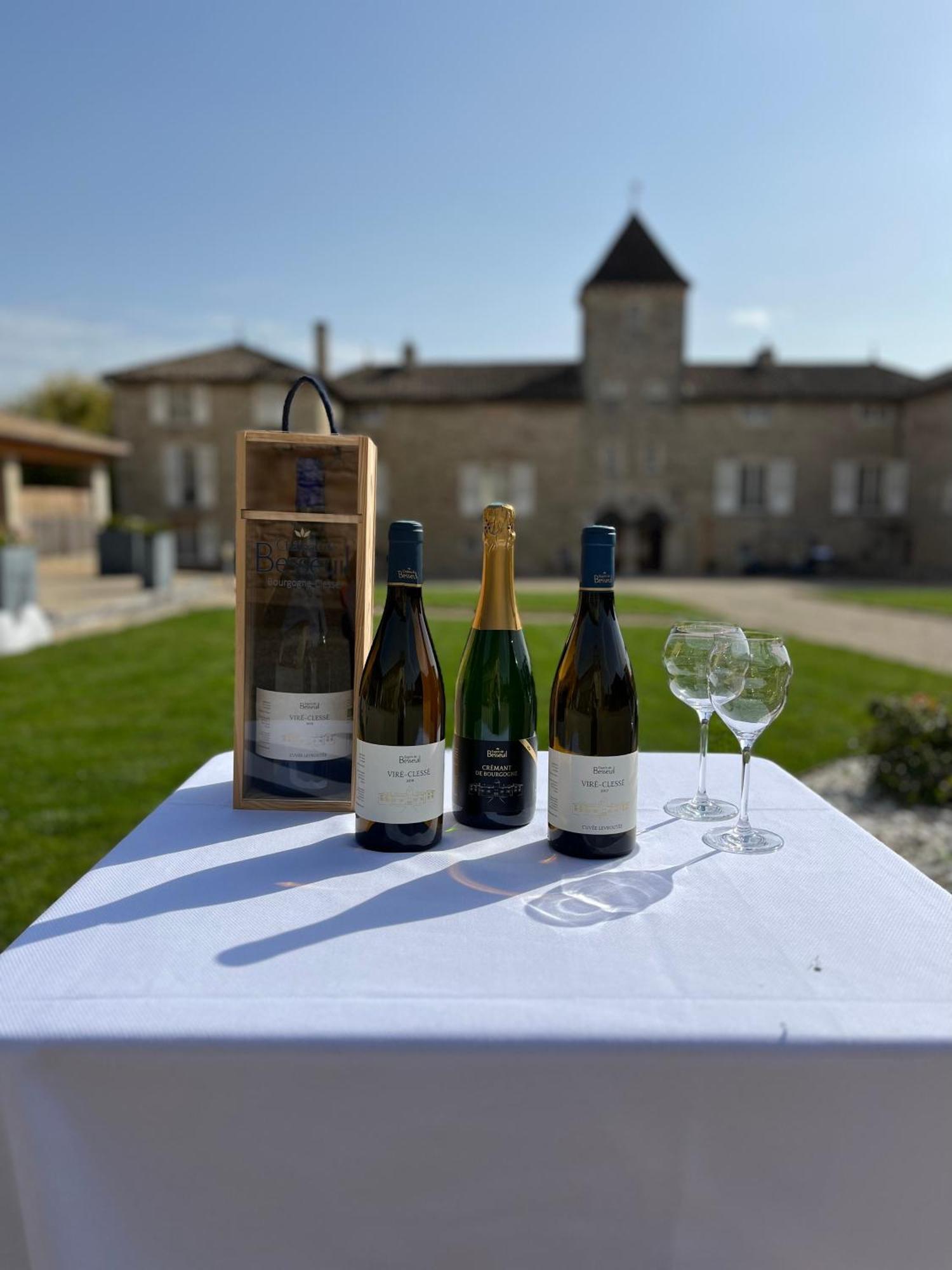 Clessé Hotel-Restaurant Le Chateau De Besseuil, Macon Nord - Teritoria מראה חיצוני תמונה